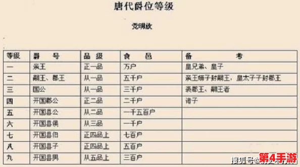 欧洲多尺码3538:品质保证,款式丰富,物超所值! 欧洲多尺码3538:品质保证,款式丰富,物超所值!