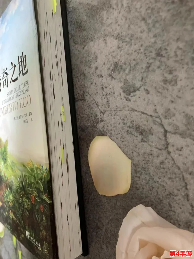 幻境之旅:新手向英雄前期成长策略与高效培养指南 幻境之旅:新手向英雄前期成长策略与高效培养指南