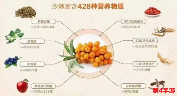 火枣种子:营养丰富,助力健康生活的天然选择与独特价值分析 火枣种子:营养丰富,助力健康生活的天然选择与独特价值分析