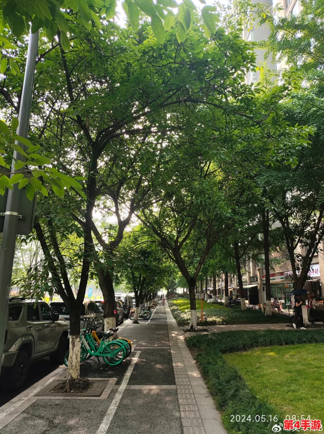 伊甸园二路三路四路2024：探索独特视角，让每条道路传递您的生活感悟与体验