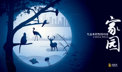 “xx69欧美：探索欧美文化的独特魅力与多样性，让我们一起领略不一样的视角与体验”