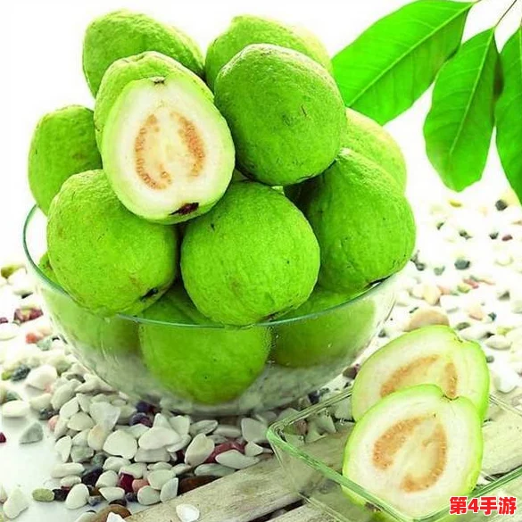 丝瓜草莓芭乐秋葵蕾丝榴莲:六味奇果齐聚,开启舌尖上的缤纷冒险 丝瓜草莓芭乐秋葵蕾丝榴莲:六味奇果齐聚,开启舌尖上的缤纷冒险