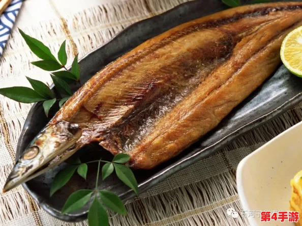 鱿鱼b2577进入：一场视觉与味觉的双重盛宴，值得每位美食爱好者体验