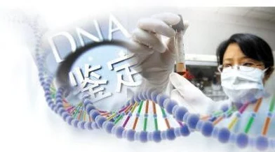 爹我是你亲生闺女啊,感人至深的家庭故事让人泪目,揭示了血缘与情感的复杂关系 爹我是你亲生闺女啊,感人至深的家庭故事让人泪目,揭示了血缘与情感的复杂关系