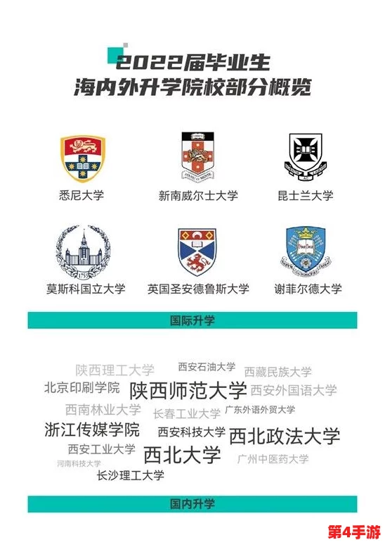 三叶草欧亚码B1B1:品质卓越,性价比超高,物有所值的好选择 三叶草欧亚码B1B1:品质卓越,性价比超高,物有所值的好选择