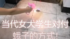 婉莹四个女大学被十七个农民工，揭示了当代社会性别与阶层间的复杂交织与冲突