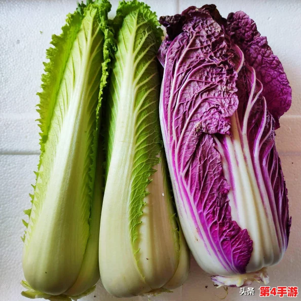 把萝卜不盖被子：这道菜的独特风味让人惊艳，值得一试！