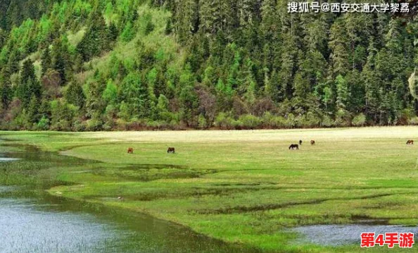 伊甸园一路二路三路入口在哪儿?畅游自然与人文的完美结合之地等你来发现! 伊甸园一路二路三路入口在哪儿?畅游自然与人文的完美结合之地等你来发现!