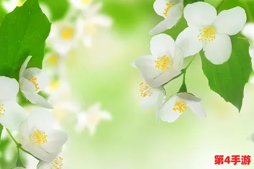 15ⅩⅩⅩⅩ18娇小摘花，教你如何在繁忙生活中找到属于自己的宁静与美好