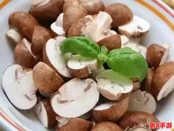 17c555黑料蘑菇：绝对是最美味的秋季美食，让人欲罢不能