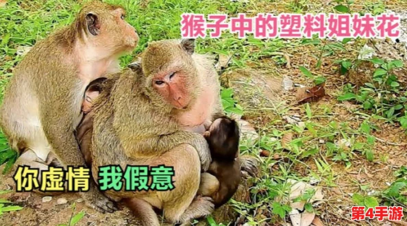 “两个人一起生猴子”：一场关于亲密关系与责任的深刻反思，值得每对伴侣认真思考