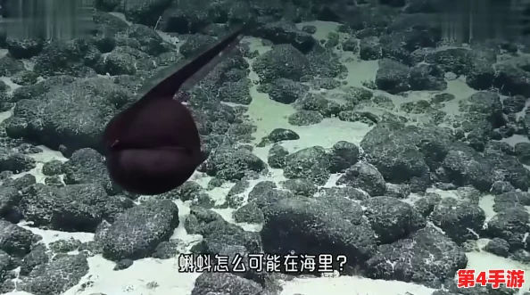 亚洲无人禁区：神秘生物与未解之谜的交汇点，揭开自然界的奥秘