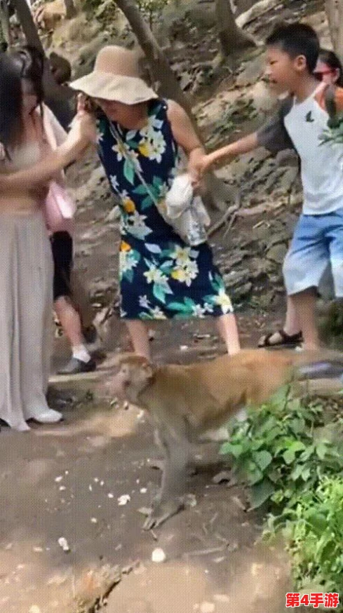 二人一起生猴子全程不盖被子，甜蜜互动引发网友热议，感情升温令人羡慕