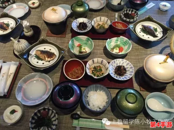 xxx.xxx日本：体验独特文化与美食的完美之旅，感受传统与现代的交融魅力