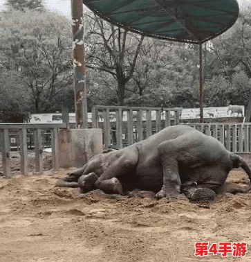 心动小镇：畅享日光沙浴，解锁专属SPA任务全攻略