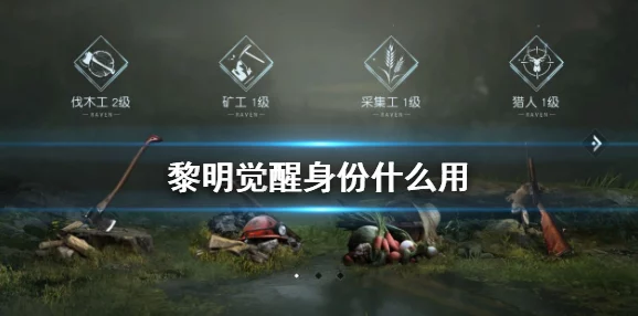 掌握《黎明觉醒》NPC情感攻略：高效提升好感度技巧与互动策略解析