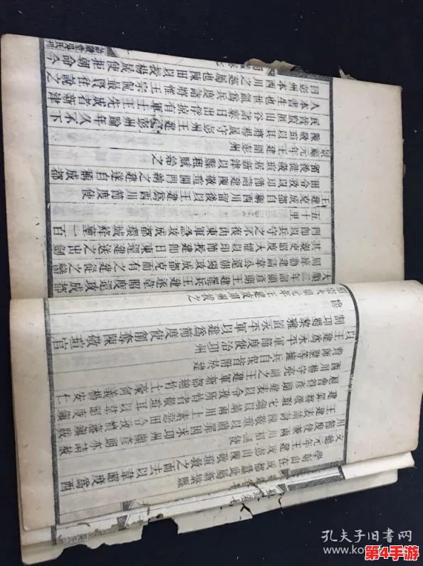 “17c—起草国卢：探讨用户对这一重要历史事件的深刻见解与评价”