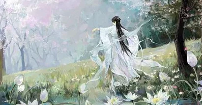 宠物奇幻修仙之旅：全面解锁悟道策略与冒险挑战指南