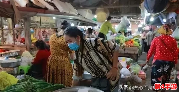 2024缅北事件全过程:谁在这场国际棋局中暗中布局? 2024缅北事件全过程:谁在这场国际棋局中暗中布局?