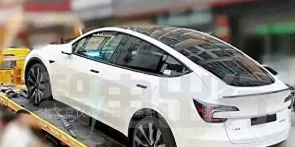 2024年度休闲游戏盛宴：热门榜单揭秘，探索不可错过的轻松娱乐新宠儿