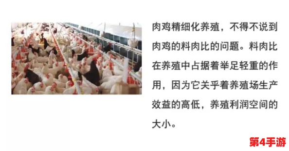 理解cekc夫妻BN几e0丰满的深层含义与社会影响，探讨其背后的文化现象与人际关系