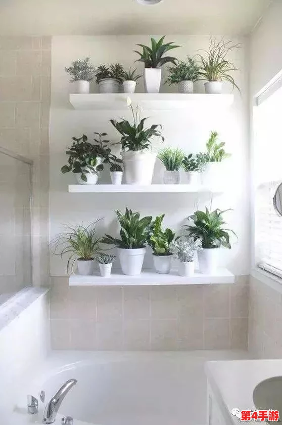 老公说我的小花园是甜的，朋友们都说她的绿植养得真好，让人心情愉悦！