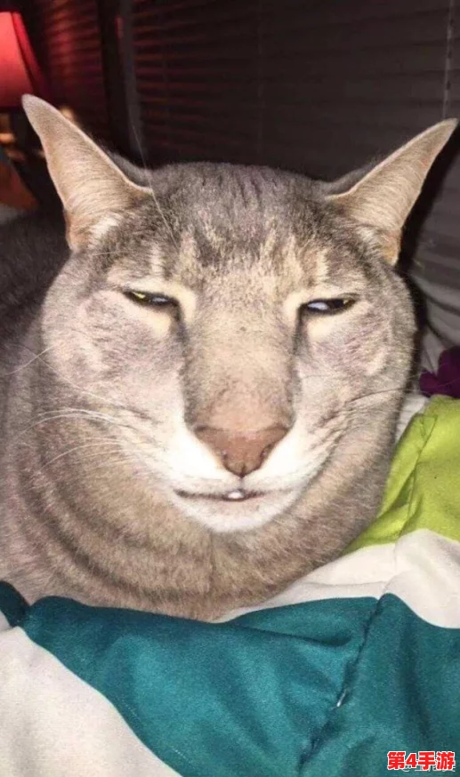 知更鸟翻白眼流眼泪流口水：众网友热议其可爱表情，纷纷表示“太真实了，直击心灵”