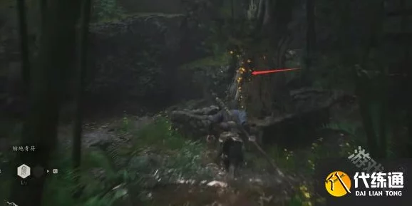 探索《黑神话：悟空》隐秘世界，揭秘落伽香藤全地图分布秘境