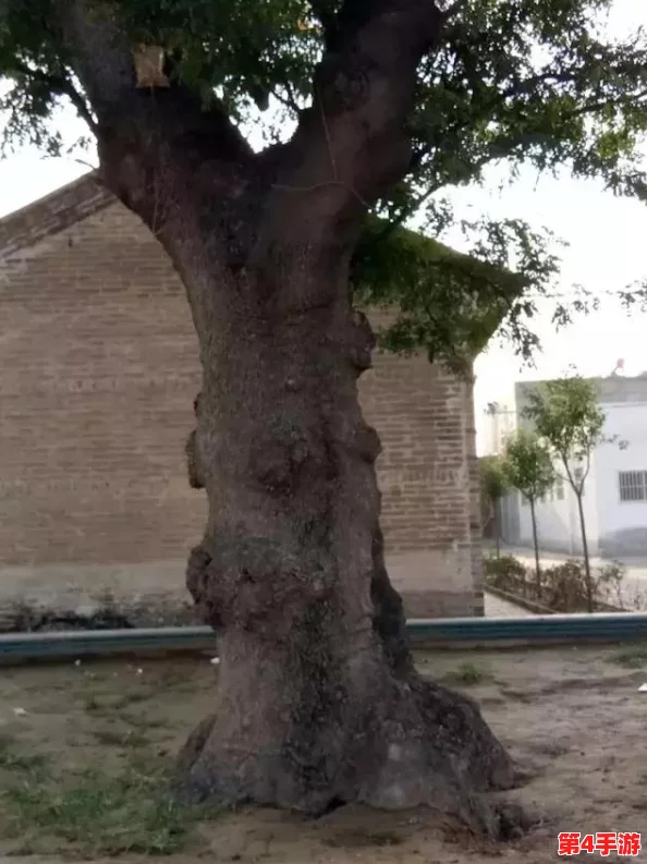 深入探讨性盈盈视频的社会影响与道德争议