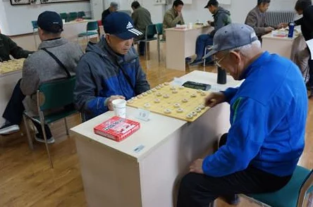 打扑克：策略与心理的较量，如何在游戏中掌握胜利的关键技巧与心态调整