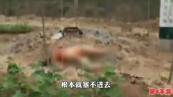 缅北活生生割下头颅网站：揭露残忍行径的重要性
