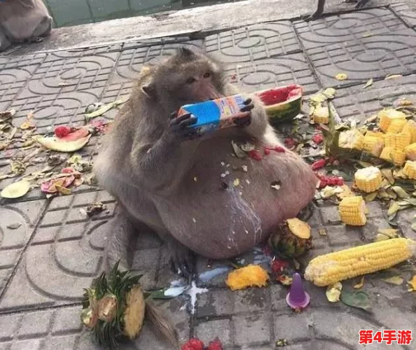 二人一起生猴子全程不盖被子，网友评价：这样的方式真是让人哭笑不得，居然还有人这么做！