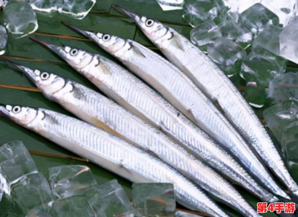 被捡来的人鱼干翻了怎么办林遇：当奇幻遇见现实，该如何应对？