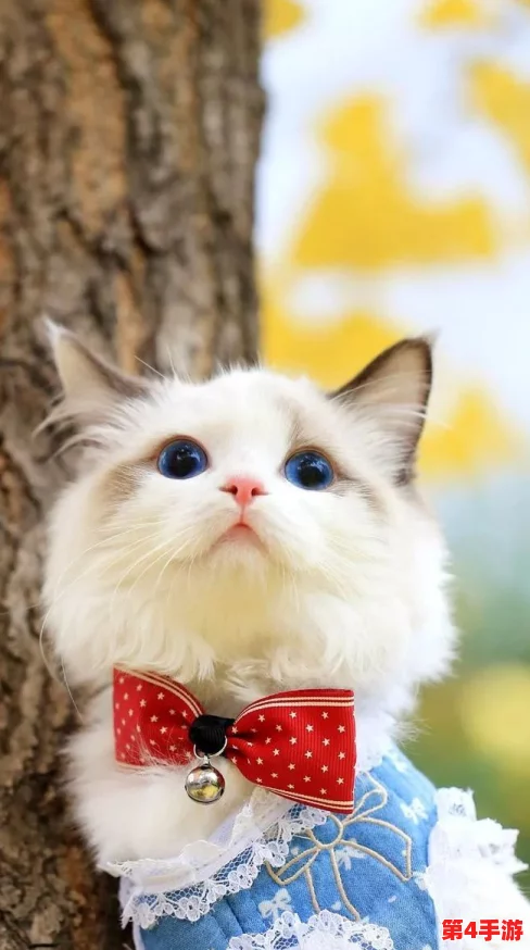 精选猫咪养成攻略:汤猫辅助技能搭配与优选策略指南 精选猫咪养成攻略:汤猫辅助技能搭配与优选策略指南