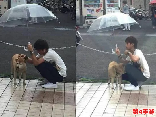 一男孩喂女孩吃钢筋,竟引发网友热议,背后隐藏的真相让人震惊! 一男孩喂女孩吃钢筋,竟引发网友热议,背后隐藏的真相让人震惊!