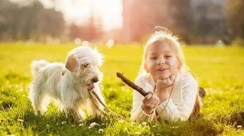 “eessue步枪区打不开，网友热议：究竟是技术问题还是设计缺陷？”