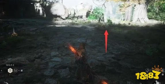 探索黑神话悟空世界:揭秘猴头菌种子的独特获取途径与策略指南 探索黑神话悟空世界:揭秘猴头菌种子的独特获取途径与策略指南