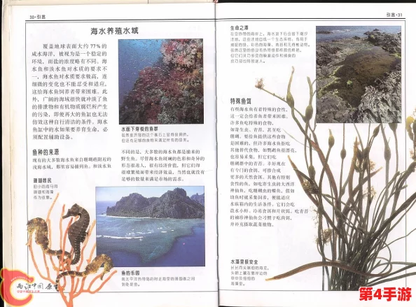 探索南国度假岛梦幻之旅：全方位景点图鉴与旅行指南精编大全