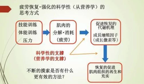 揭秘猴类体能快速复原机制：从生理构造到行为习性促进恢复速度的独特优势