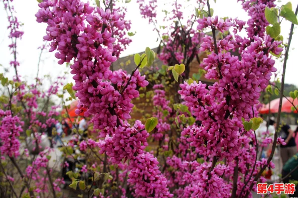 父母儿女合家欢乐阅读:共同探索知识的乐趣和亲情的温暖 父母儿女合家欢乐阅读:共同探索知识的乐趣和亲情的温暖