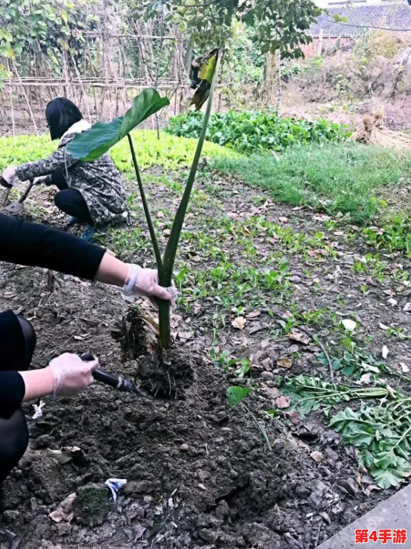 老师脱 让学生摸 拔萝卜,这样的教学方式真是太大胆了,难道教育真的可以这么随意吗? 老师脱 让学生摸 拔萝卜,这样的教学方式真是太大胆了,难道教育真的可以这么随意吗?