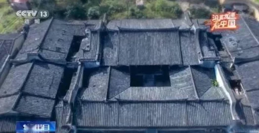 红桃9257：在数字化时代，如何理解其背后的文化与情感价值？