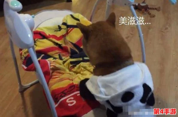 打扑克剧烈摇床不盖被子图片：展现了在轻松娱乐中，朋友们的欢声笑语与无拘无束的生活态度