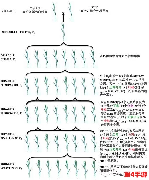 男Gy互吃鳮吧：为何这种行为在特定群体中如此流行和受欢迎？