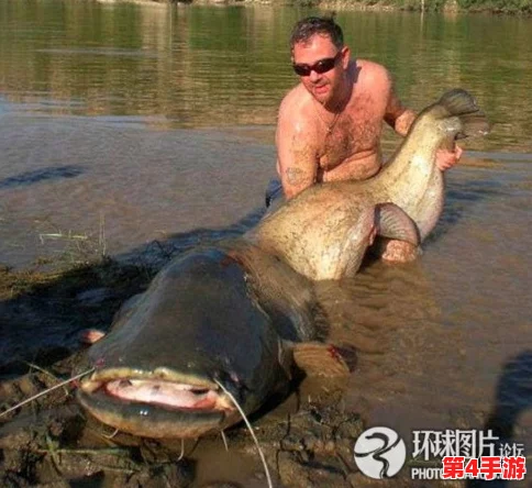 探索心动小镇：揭秘欧洲鲶鱼的神秘栖息地与特色介绍