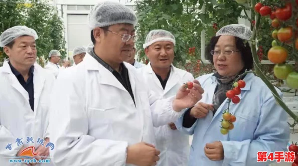 《模拟城市：我是市长》国风大揭秘！制作人独家分享新版本古典韵味与特色玩法亮点