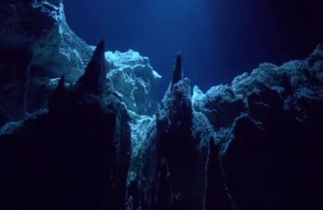 探索星之海的奥秘：巴德纳尔庇护的力量与应用价值深度剖析