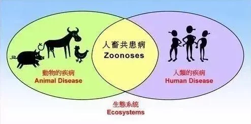 人马畜禽共性关系的重要性:促进生态平衡与可持续发展的关键因素分析 人马畜禽共性关系的重要性:促进生态平衡与可持续发展的关键因素分析