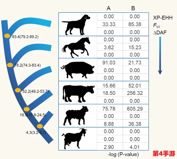 人马畜禽共性关系的重要性:促进生态平衡与可持续发展的关键因素分析 人马畜禽共性关系的重要性:促进生态平衡与可持续发展的关键因素分析