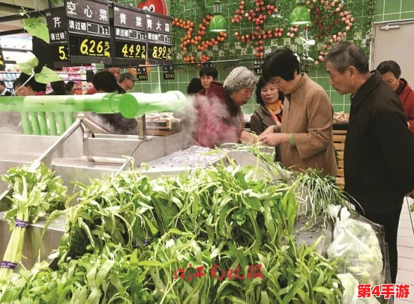 心动小镇雨日浪漫指南:必体验活动清单,让每滴雨水都充满诗意与温馨瞬间 心动小镇雨日浪漫指南:必体验活动清单,让每滴雨水都充满诗意与温馨瞬间